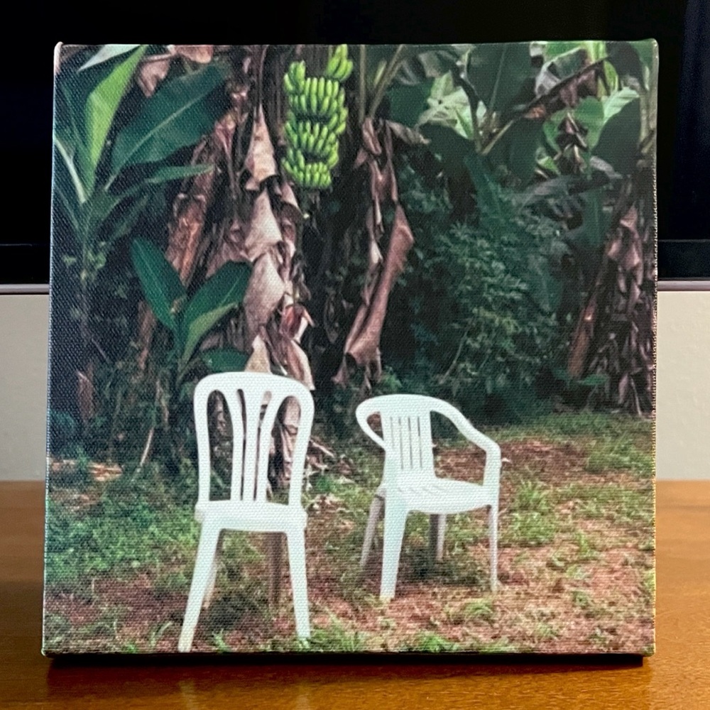 Bad Bunny DTMF Canvas Art